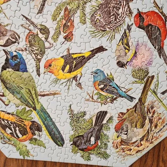 Vintage 500 Piece 1968 Springbok Octagon Puzzle Western Birds by Malick PZL 8015